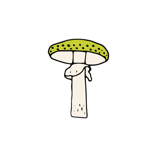 Mushroom Great Design Any Purposes Doodle Vector Illustration Edible Mushrooms — Stock Vector