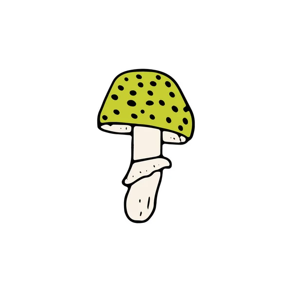 Cogumelo Grande Design Para Qualquer Finalidade Ilustração Vetorial Doodle Cogumelos — Vetor de Stock