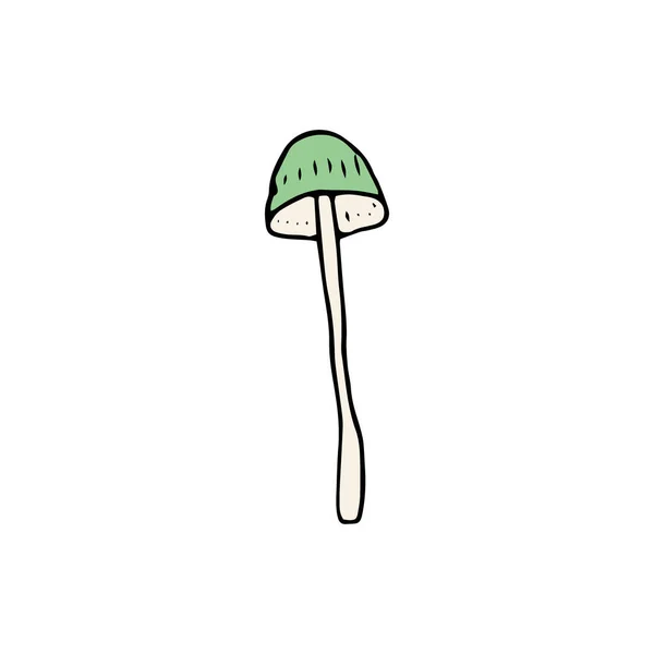 Mushroom Great Design Any Purposes Doodle Vector Illustration Edible Mushrooms — Stock Vector