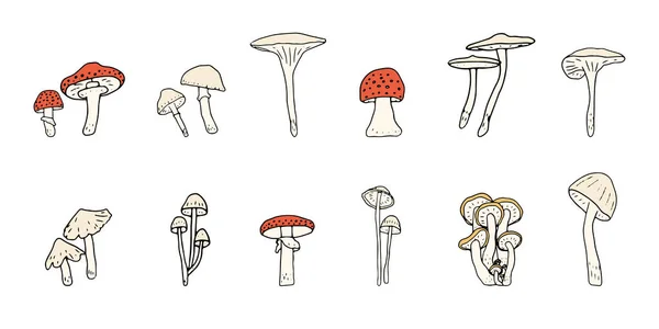 stock vector Mushroom, great design for any purposes. Doodle vector illustration. Edible mushrooms and toadstools. Healthy food illustration. Autumn forest plants sketches for textiles, wallpaper, coloring