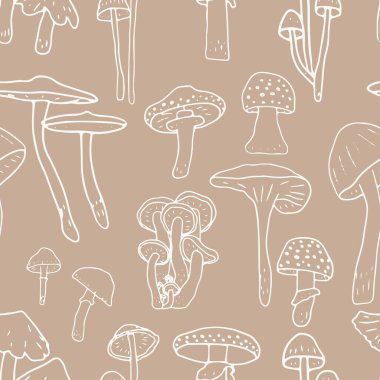 Mantarlar pürüzsüz. Yenilebilir mantarlar ve mantarlar. Sağlıklı yemek geçmişi. Sonbahar orman bitkileri tekstil, duvar kağıdı, boya, ambalaj için eskizler