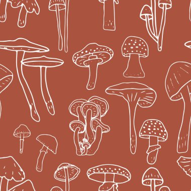 Mantarlar pürüzsüz. Yenilebilir mantarlar ve mantarlar. Sağlıklı yemek geçmişi. Sonbahar orman bitkileri tekstil, duvar kağıdı, boya, ambalaj için eskizler