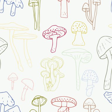 Mantarlar pürüzsüz. Yenilebilir mantarlar ve mantarlar. Sağlıklı yemek geçmişi. Sonbahar orman bitkileri tekstil, duvar kağıdı, boya, ambalaj için eskizler