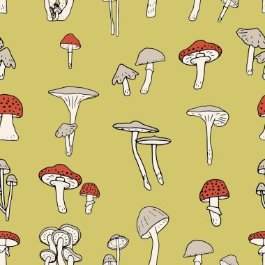 Mantarlar pürüzsüz. Yenilebilir mantarlar ve mantarlar. Sağlıklı yemek geçmişi. Sonbahar orman bitkileri tekstil, duvar kağıdı, boya, ambalaj için eskizler