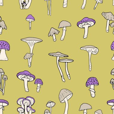 Mantarlar pürüzsüz. Yenilebilir mantarlar ve mantarlar. Sağlıklı yemek geçmişi. Sonbahar orman bitkileri tekstil, duvar kağıdı, boya, ambalaj için eskizler