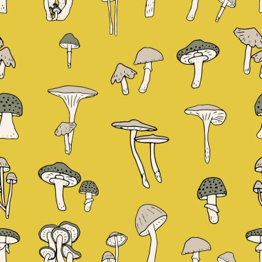 Mantarlar pürüzsüz. Yenilebilir mantarlar ve mantarlar. Sağlıklı yemek geçmişi. Sonbahar orman bitkileri tekstil, duvar kağıdı, boya, ambalaj için eskizler