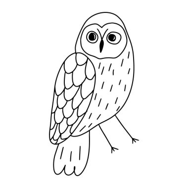 Sevimli el çizimi baykuş. Orman kuşu. Tişört, giysi, kart, poster, çocuk odası dekorasyonu için mükemmel. Vektör İllüstrasyonu