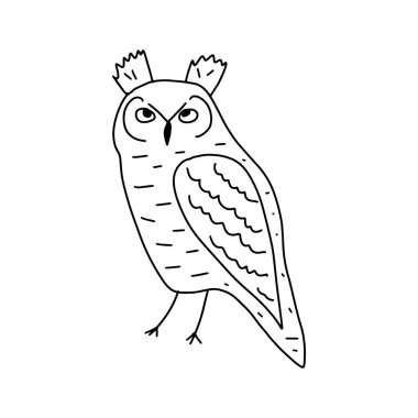 Sevimli el çizimi baykuş. Orman kuşu. Tişört, giysi, kart, poster, çocuk odası dekorasyonu için mükemmel. Vektör İllüstrasyonu
