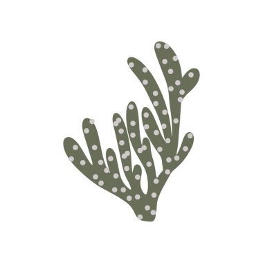 Coral. Underwater element. Vector illustration in scandinavian style. Sea ocean.