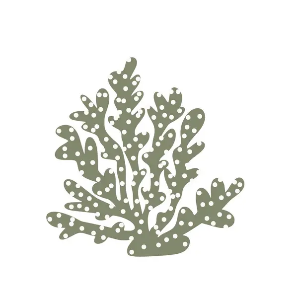 Corail Élément Sous Marin Illustration Vectorielle Dans Style Scandinave Océan — Image vectorielle
