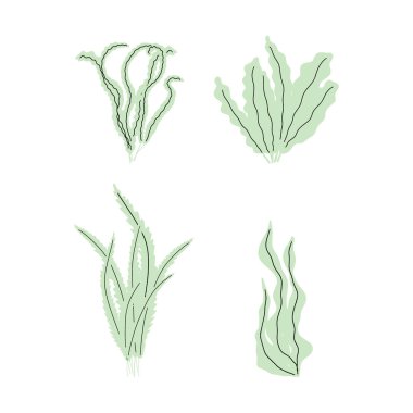 Coral. Underwater plant. Vector illustration in scandinavian style. Seaweed.