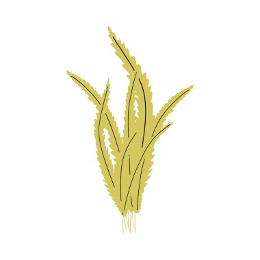 Coral. Underwater plant. Vector illustration in scandinavian style. Seaweed.