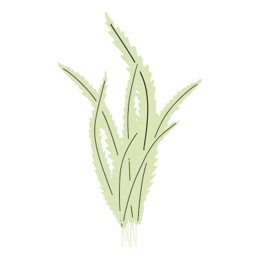 Coral. Underwater plant. Vector illustration in scandinavian style. Seaweed.