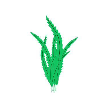 Coral. Underwater plant. Vector illustration in scandinavian style. Seaweed.