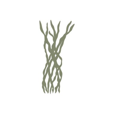 Coral. Underwater plant. Vector illustration in scandinavian style. Seaweed.