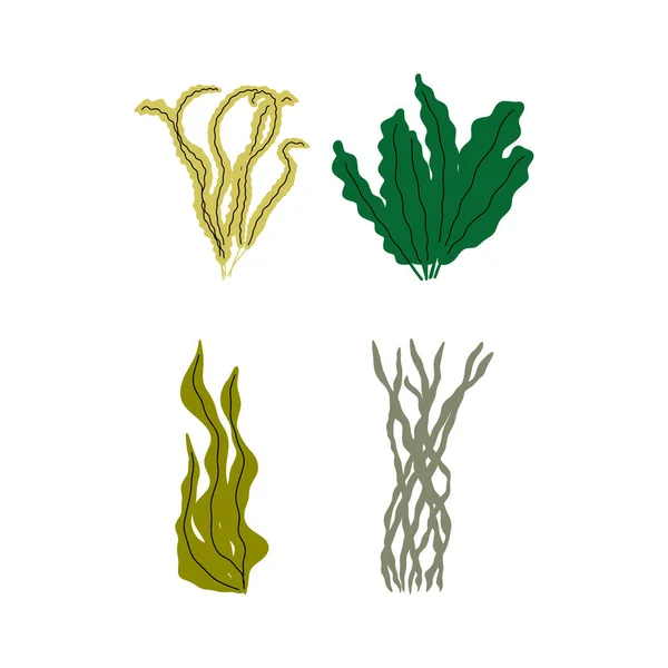 水下植物 用丑闻式的媒介图解 — 图库矢量图片