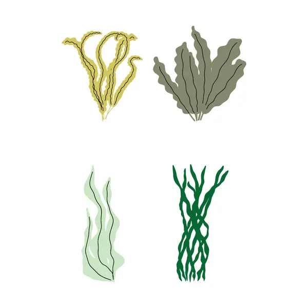 Coral Underwater Plant Vector Illustration Scandinavian Style Seaweed — Vettoriale Stock