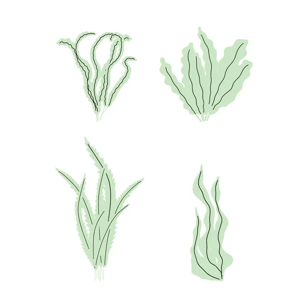 Coral Underwater Plant Vector Illustration Scandinavian Style Seaweed — 스톡 벡터