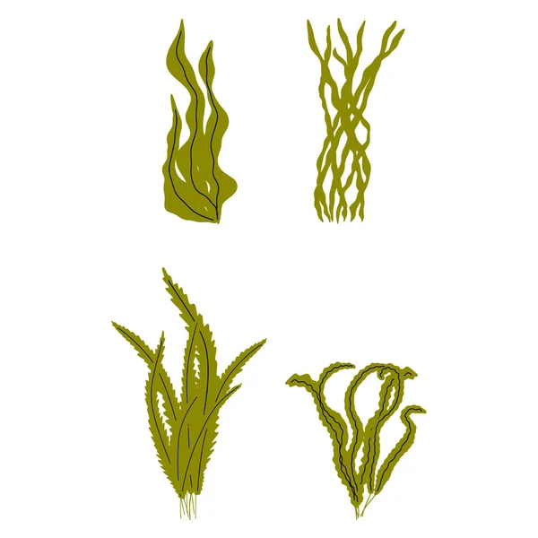 Coral Planta Submarina Ilustración Vectorial Estilo Escandinavo Algas Marinas — Archivo Imágenes Vectoriales