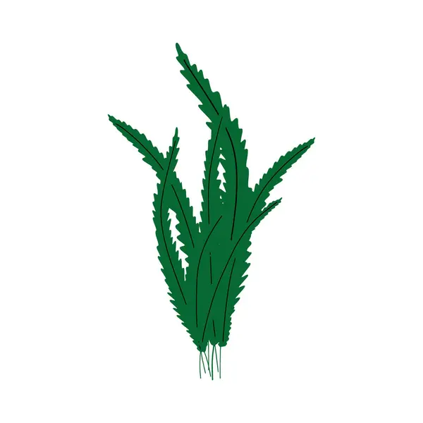 Coral Underwater Plant Vector Illustration Scandinavian Style Seaweed — Vettoriale Stock