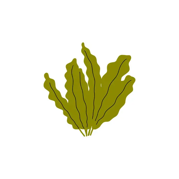 Coral Underwater Plant Vector Illustration Scandinavian Style Seaweed — Wektor stockowy