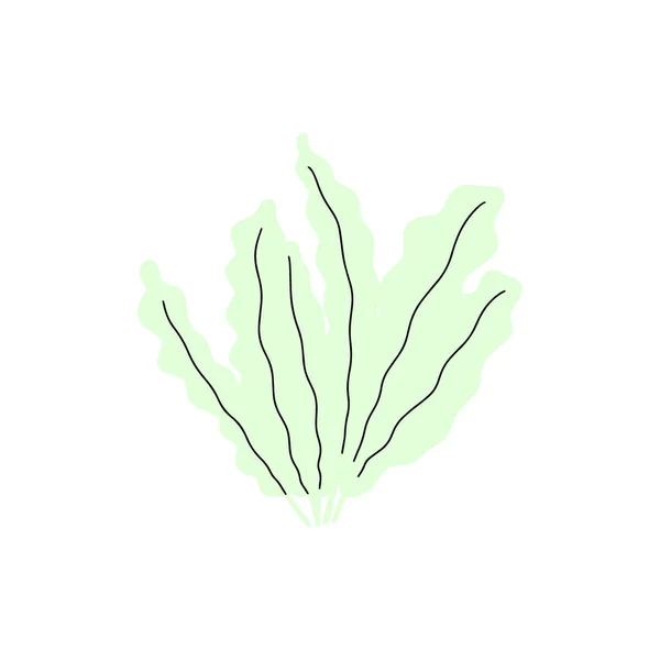 Coral Underwater Plant Vector Illustration Scandinavian Style Seaweed — 图库矢量图片