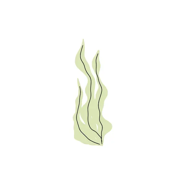 Corail Plante Sous Marine Illustration Vectorielle Dans Style Scandinave Algues — Image vectorielle