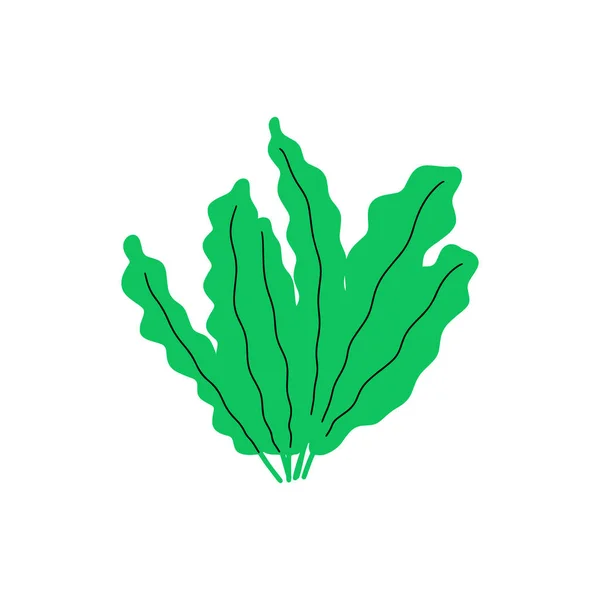 Coral Underwater Plant Vector Illustration Scandinavian Style Seaweed — Stockvektor