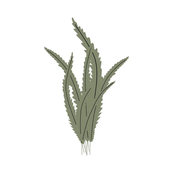 Coral Underwater Plant Vector Illustration Scandinavian Style Seaweed — Image vectorielle