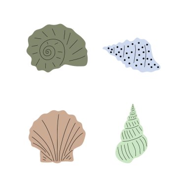 Tropical underwater seashell. Hand drawn sea mollusk shellfish element. Vector illustration in scandinavian style.