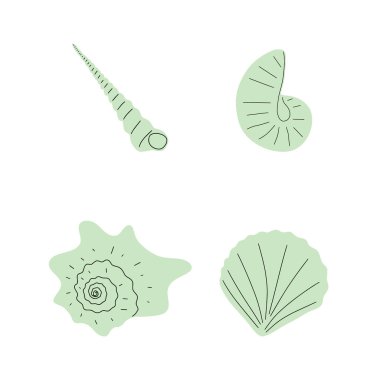 Tropical underwater seashell. Hand drawn sea mollusk shellfish element. Vector illustration in scandinavian style.