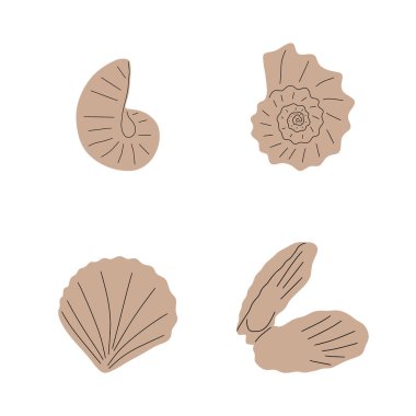 Tropical underwater seashell. Hand drawn sea mollusk shellfish element. Vector illustration in scandinavian style.