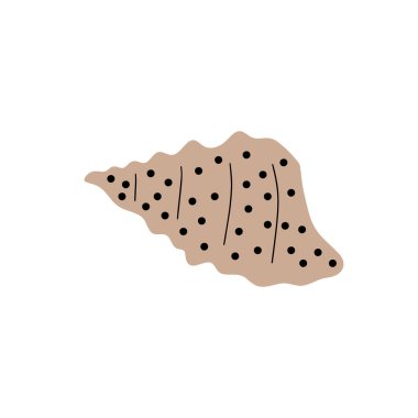Tropical underwater seashell. Hand drawn sea mollusk shellfish element. Vector illustration in scandinavian style.