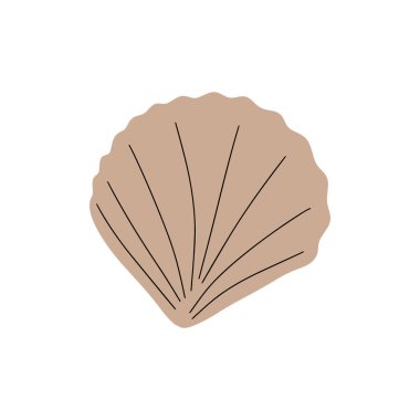 Tropical underwater seashell. Hand drawn sea mollusk shellfish element. Vector illustration in scandinavian style.
