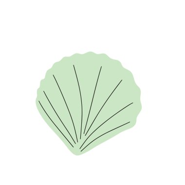 Tropical underwater seashell. Hand drawn sea mollusk shellfish element. Vector illustration in scandinavian style.