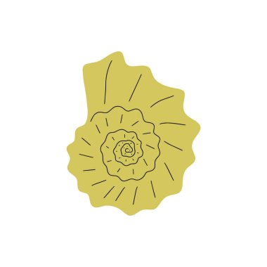 Tropical underwater seashell. Hand drawn sea mollusk shellfish element. Vector illustration in scandinavian style.