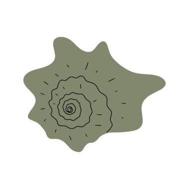 Tropical underwater seashell. Hand drawn sea mollusk shellfish element. Vector illustration in scandinavian style.