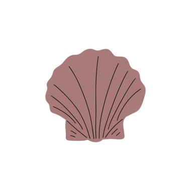 Tropical underwater seashell. Hand drawn sea mollusk shellfish element. Vector illustration in scandinavian style.