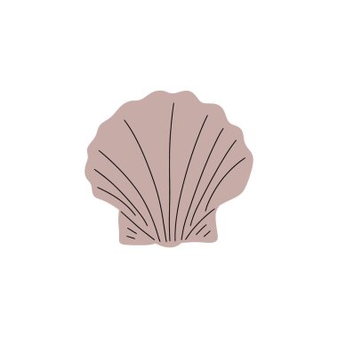 Tropical underwater seashell. Hand drawn sea mollusk shellfish element. Vector illustration in scandinavian style.