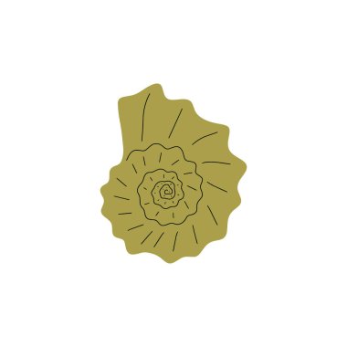 Tropical underwater seashell. Hand drawn sea mollusk shellfish element. Vector illustration in scandinavian style.