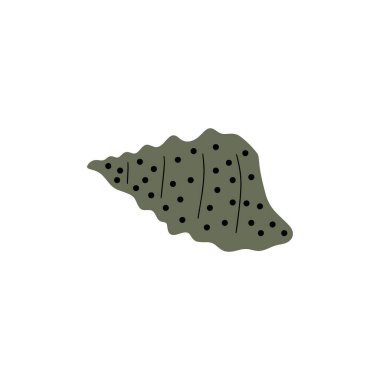 Tropical underwater seashell. Hand drawn sea mollusk shellfish element. Vector illustration in scandinavian style.