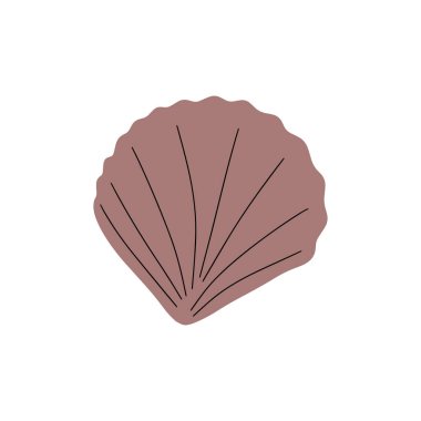 Tropical underwater seashell. Hand drawn sea mollusk shellfish element. Vector illustration in scandinavian style.