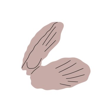 Tropical underwater seashell. Hand drawn sea mollusk shellfish element. Vector illustration in scandinavian style.