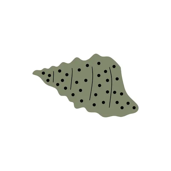 Coquillage Sous Marin Tropical Éléments Mollusques Marins Dessinés Main Illustration — Image vectorielle