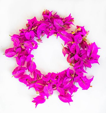 Beyaz arka planda pembe çiçeklerden oluşan yuvarlak bir çerçeve. Örnek