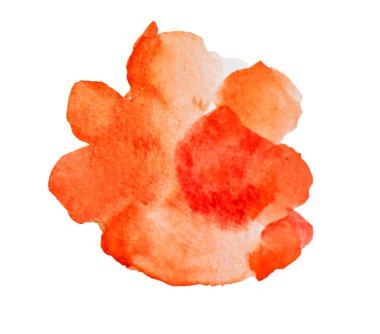 Beyaz arka planda izole edilmiş kırmızı çiçeğin soyut suluboya el çizimi. Element