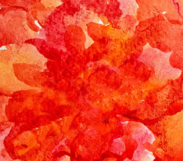 Abstrakte Rote Aquarell Design Hintergrund Element — Stockfoto
