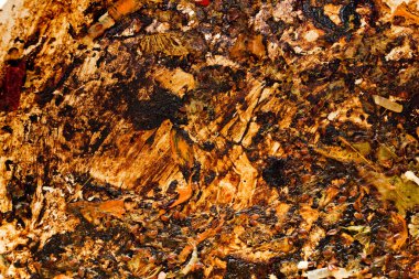 Tavada yanmış yiyeceklerle.