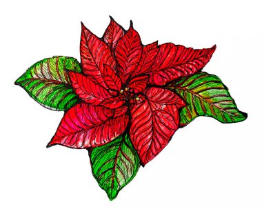 Beyaz arkaplanda kırmızı noktalı çiçek, suluboya çizim oranı