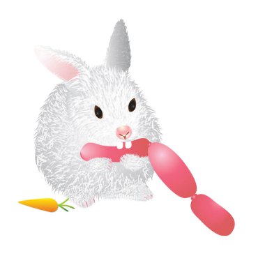 Tavşan sosis yiyor.